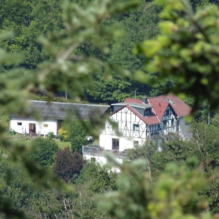Ferienwohnung Schaefer Waldbreitbach المظهر الخارجي الصورة