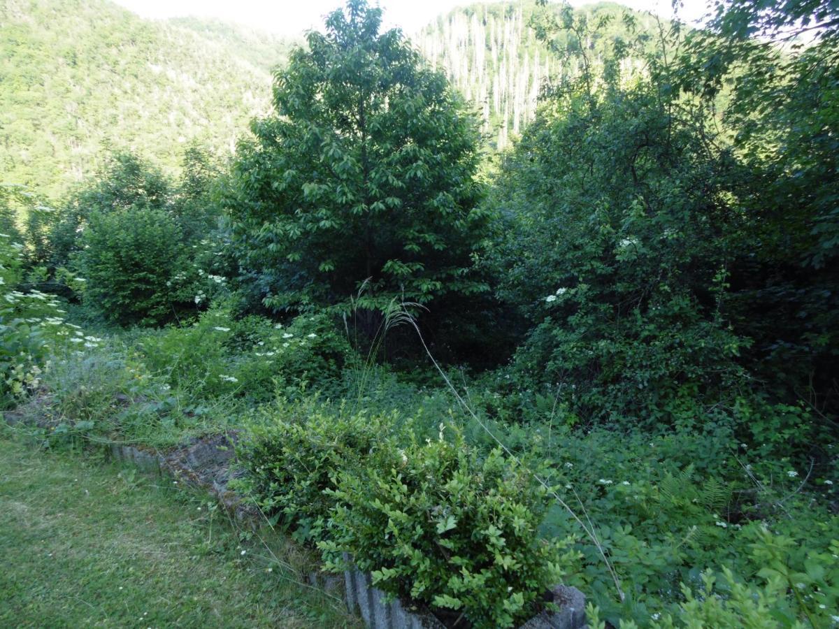 Ferienwohnung Schaefer Waldbreitbach المظهر الخارجي الصورة