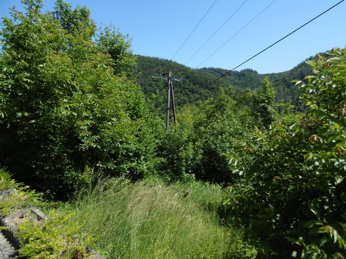 Ferienwohnung Schaefer Waldbreitbach المظهر الخارجي الصورة