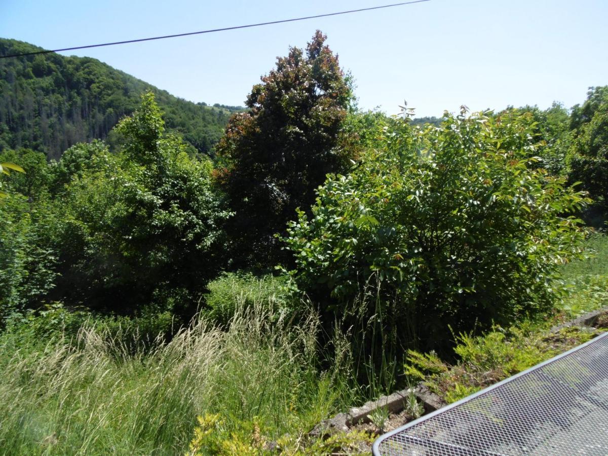 Ferienwohnung Schaefer Waldbreitbach المظهر الخارجي الصورة