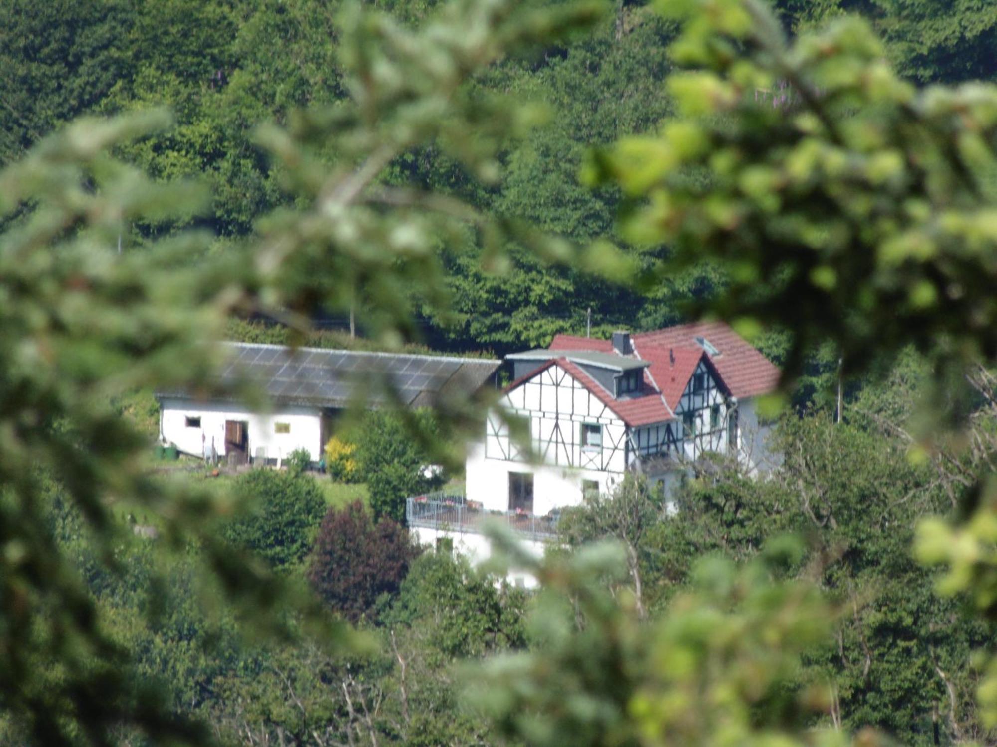 Ferienwohnung Schaefer Waldbreitbach المظهر الخارجي الصورة