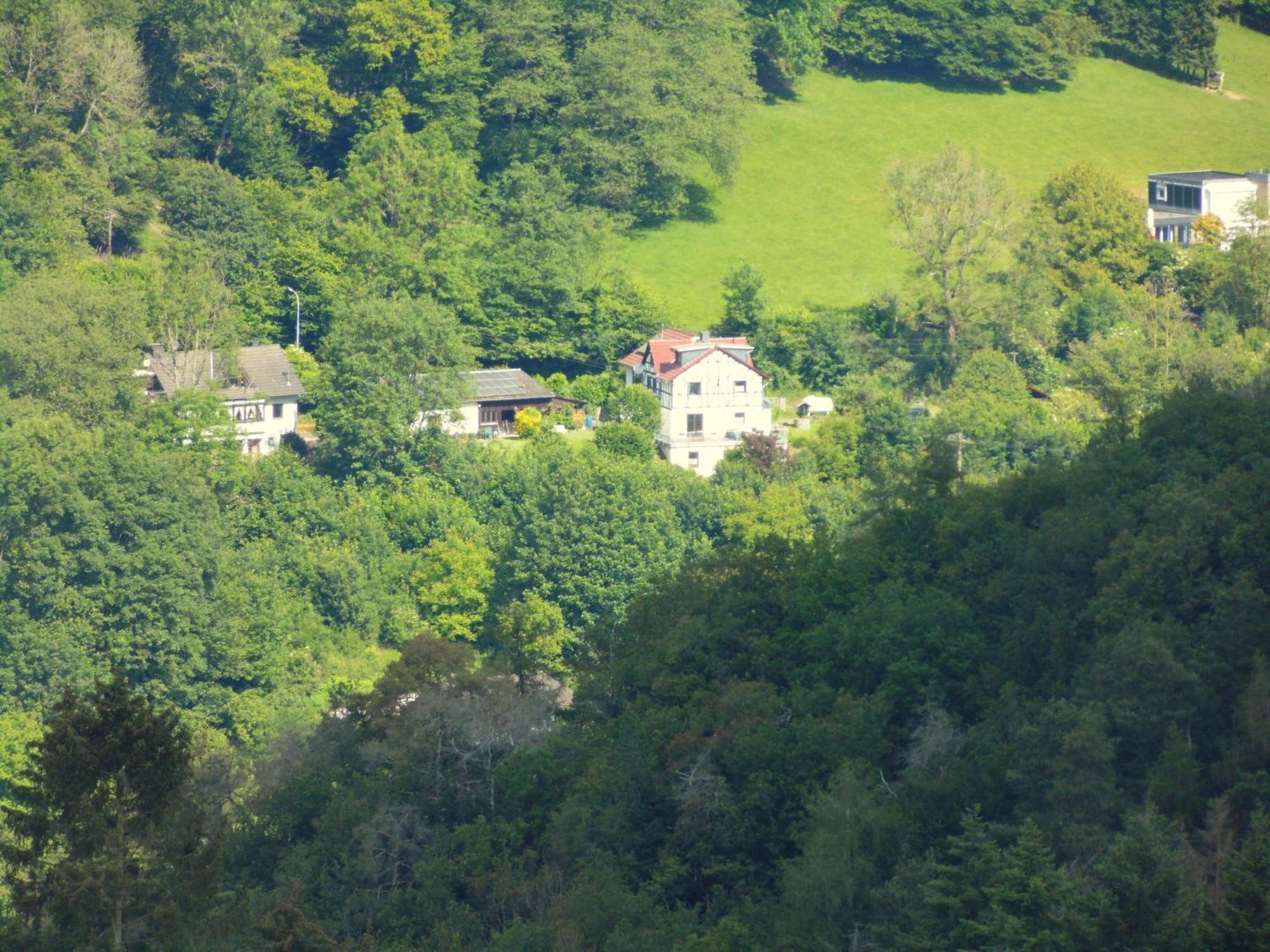 Ferienwohnung Schaefer Waldbreitbach المظهر الخارجي الصورة
