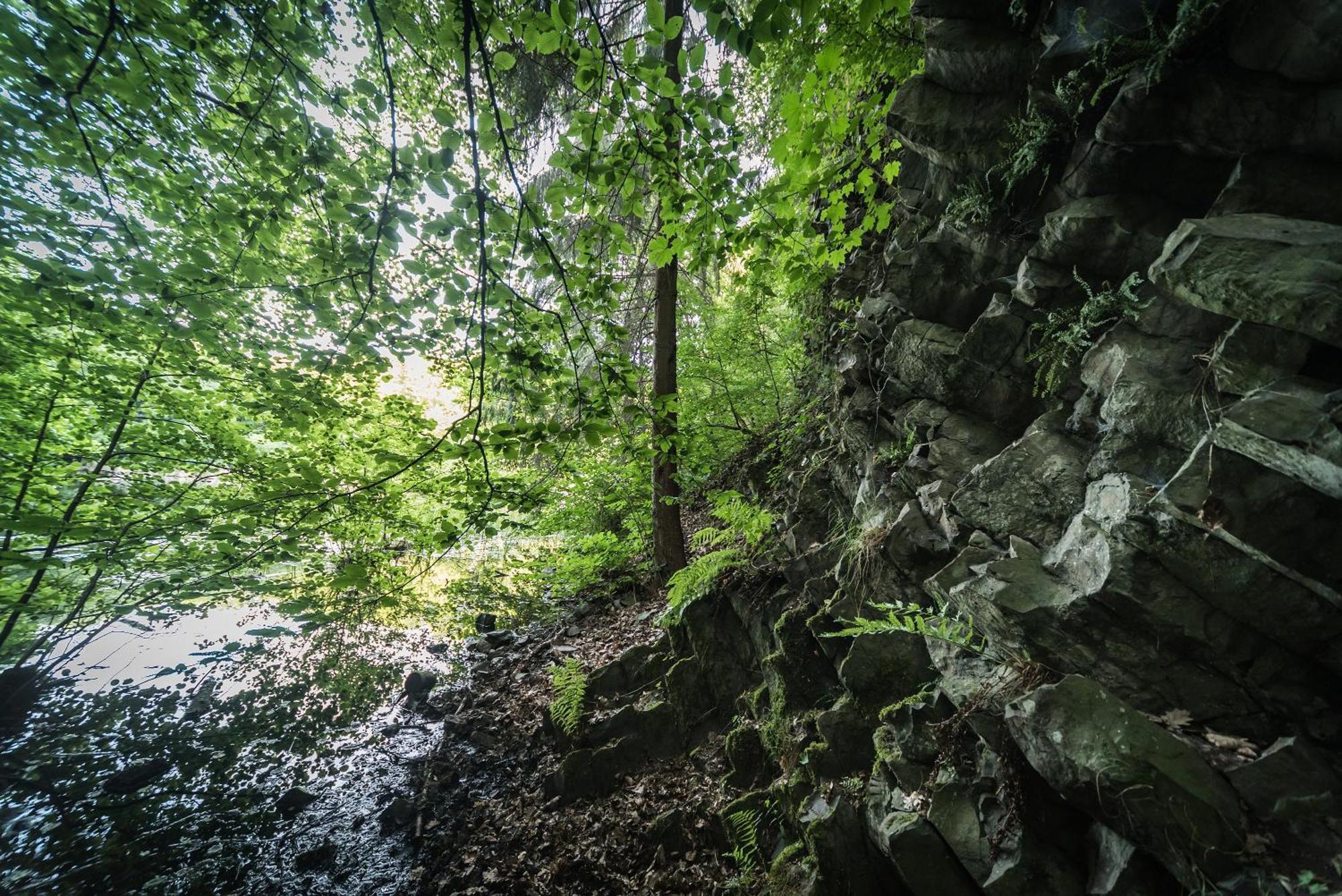 Ferienwohnung Schaefer Waldbreitbach المظهر الخارجي الصورة