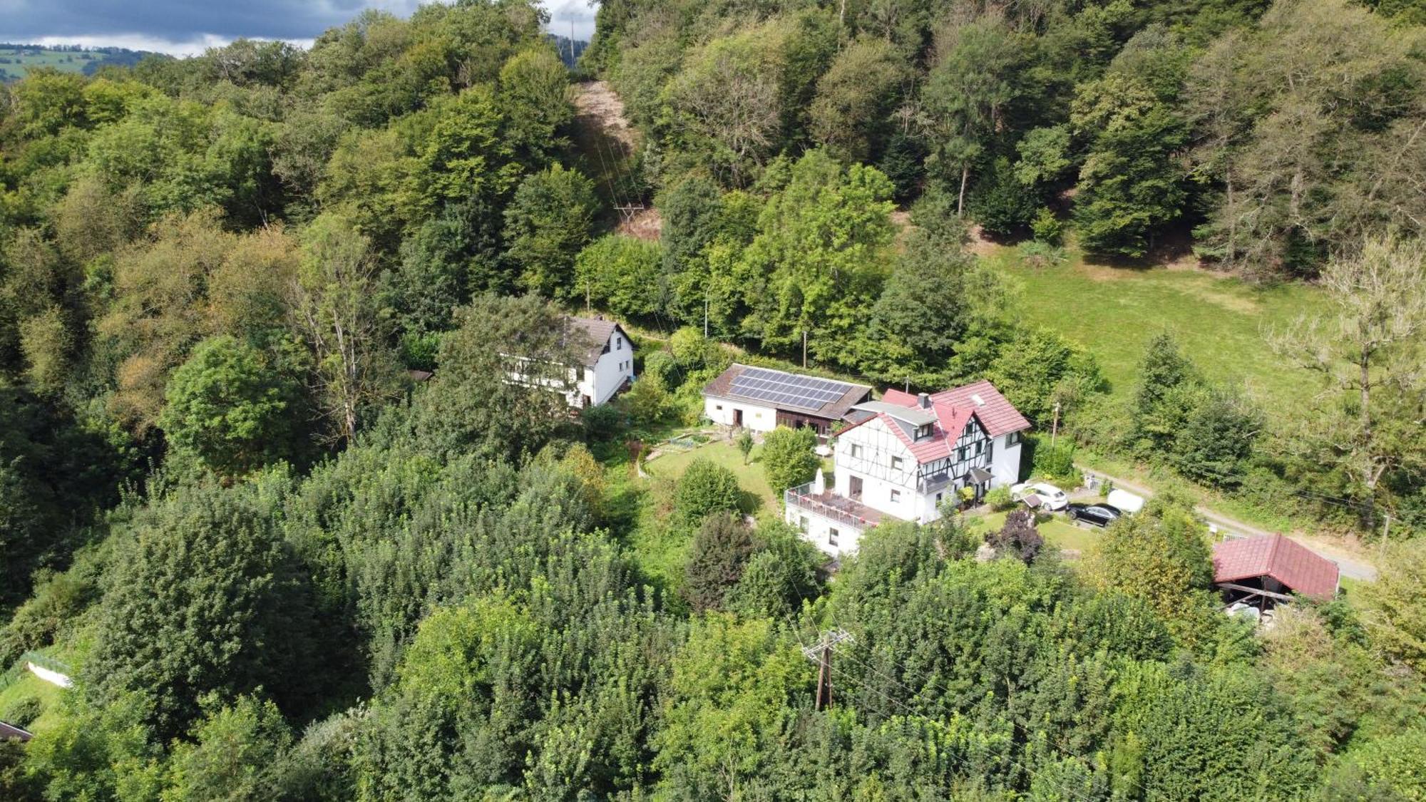 Ferienwohnung Schaefer Waldbreitbach المظهر الخارجي الصورة